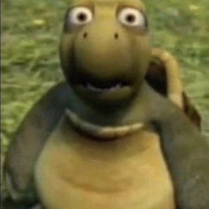 Meet your Posher, Alexander